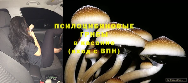 МДПВ Наволоки
