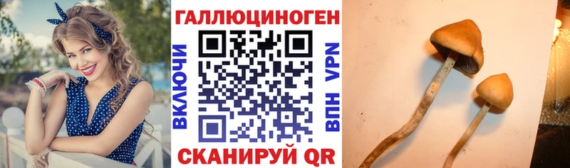 Псилоцибиновые грибы MAGIC MUSHROOMS  OMG вход  Правдинск 